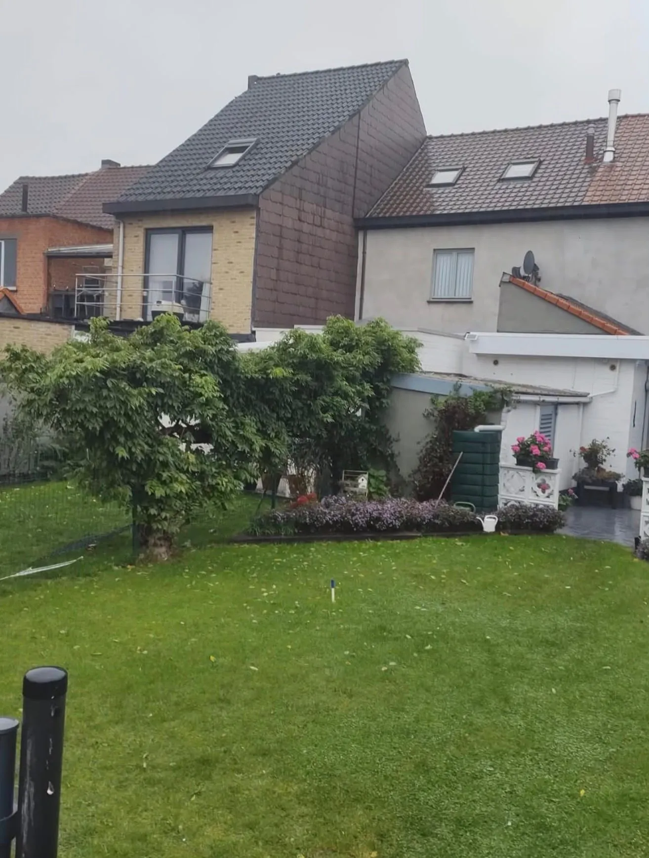 Van gazon naar bloementuin - foto 2