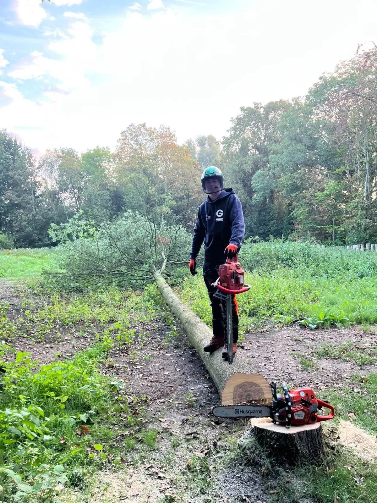 Vince Thoen met kettingzaag op een gevelde boomstam