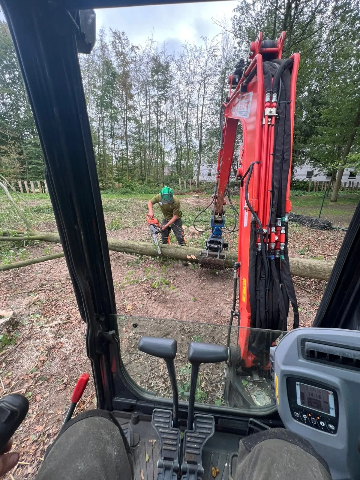 Tuinen Thoen zaagt een gevelde boom in stukken, gezien vanuit de kraan